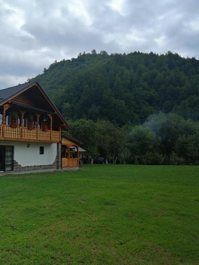 Casa Nova Vila Vişeu de Sus Exterior foto