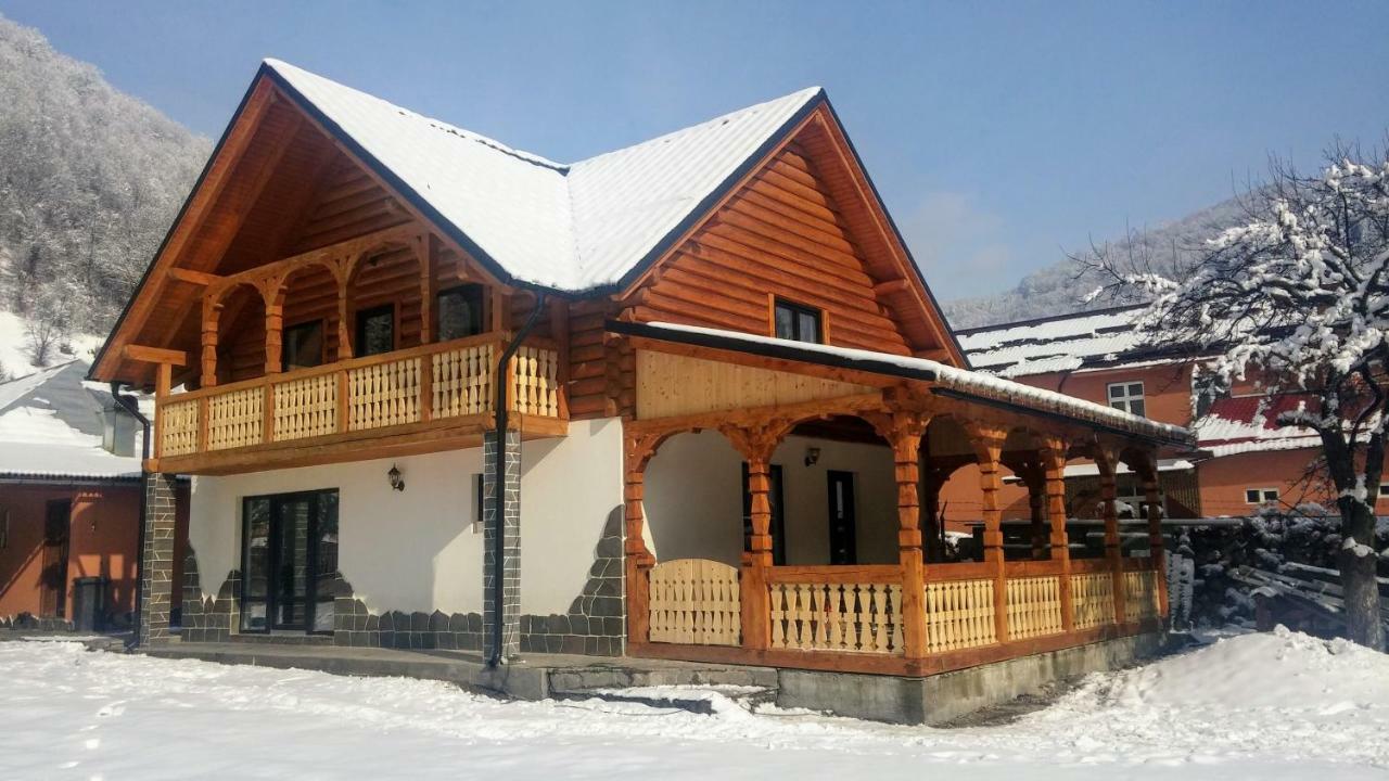 Casa Nova Vila Vişeu de Sus Exterior foto