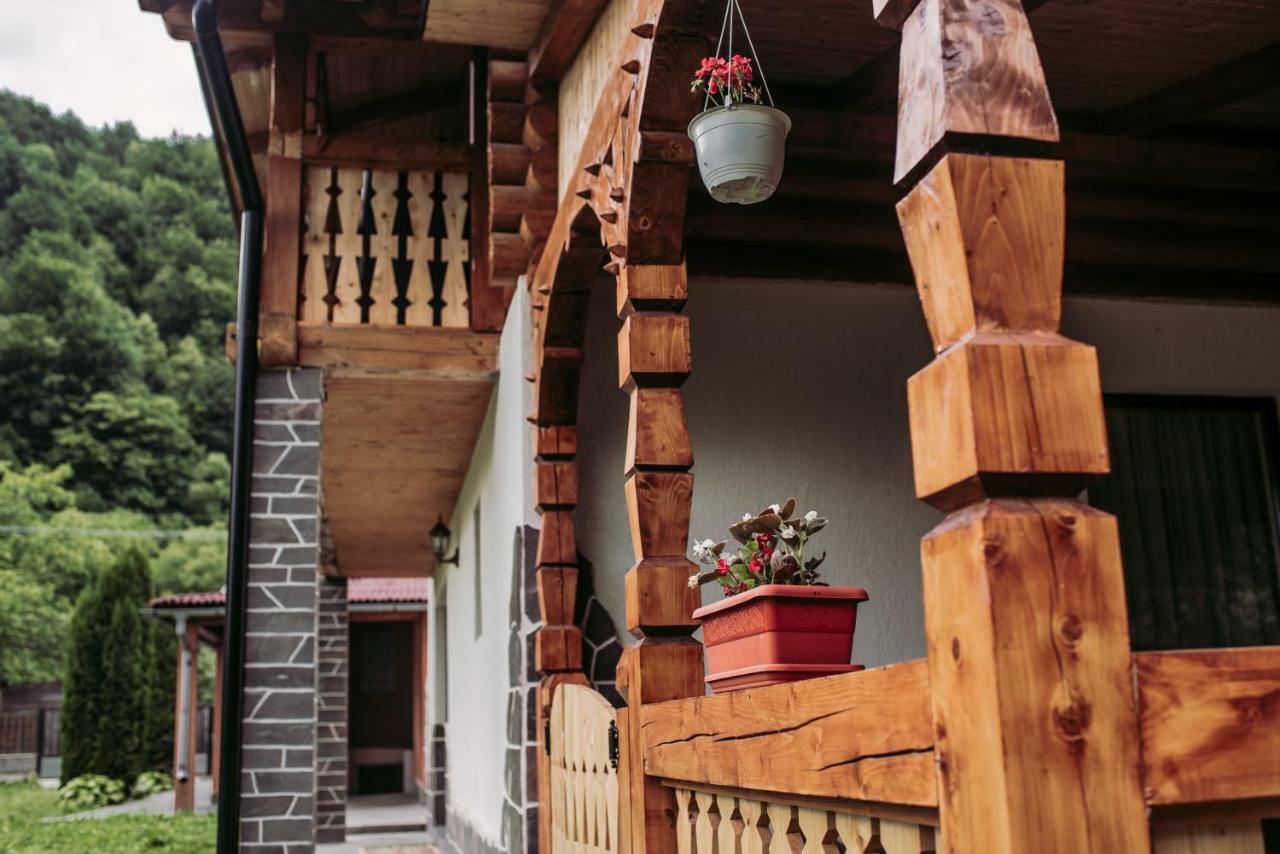 Casa Nova Vila Vişeu de Sus Exterior foto